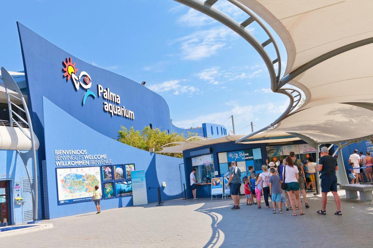 Son Veri Ελ Αρενάλ Εξωτερικό φωτογραφία